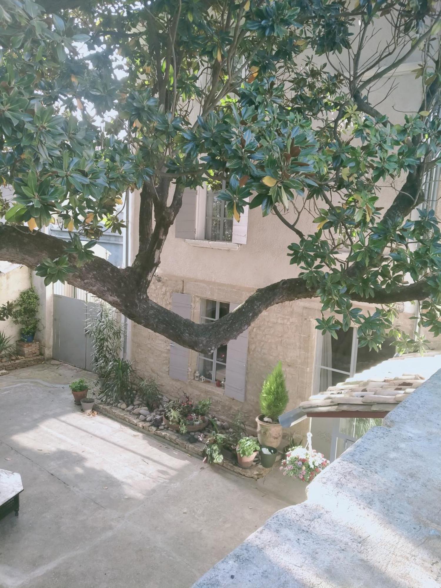 אורנג' Chambres D'Hotes L'Atrium מראה חיצוני תמונה