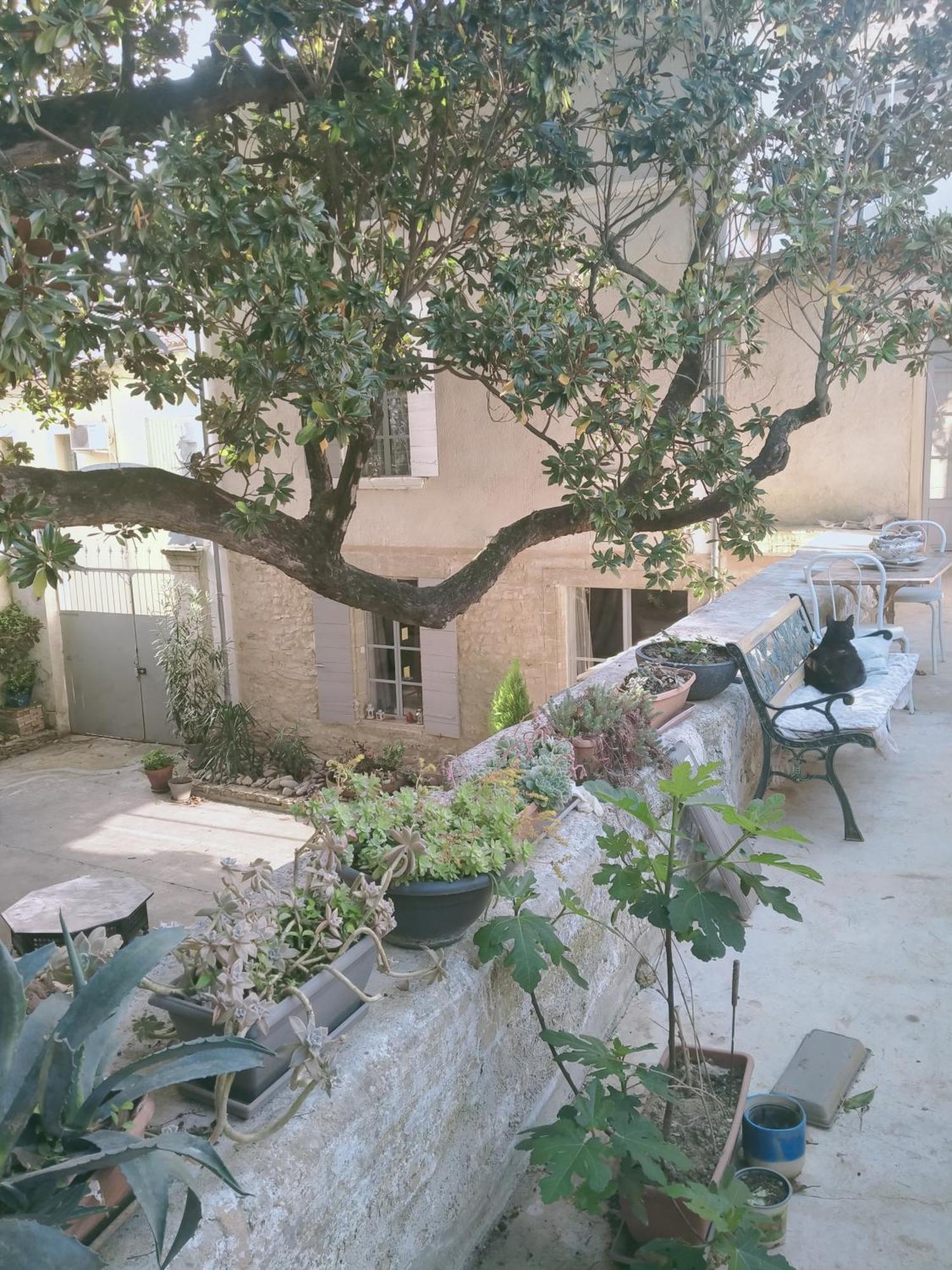 אורנג' Chambres D'Hotes L'Atrium מראה חיצוני תמונה